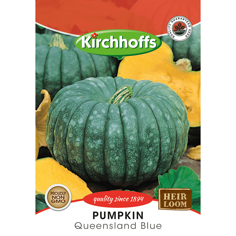 Kirchhoffs pumpkin Queensland blue