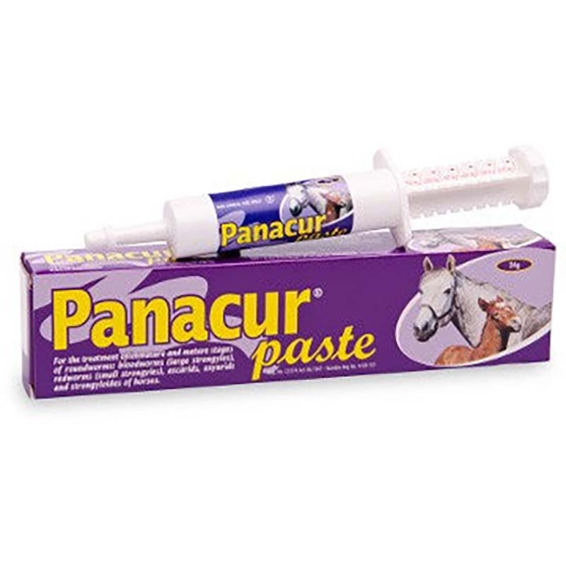 Panacur Paste 24g - MSD
