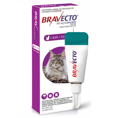 Bravecto Cat Spot On Group