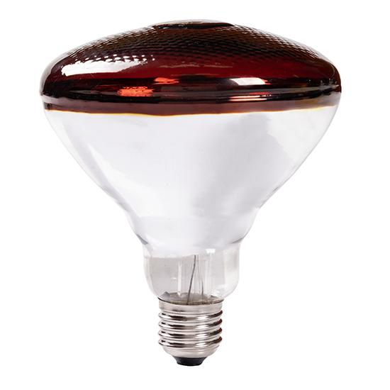 Lamp Incandescent Infrared PAR38 E27 175w Ruby 3000h