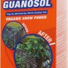 Protek Guanosol 5 Pill