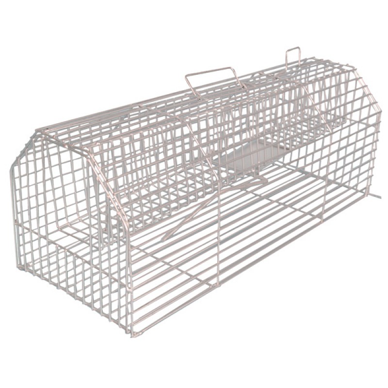 Rat Trap Cage