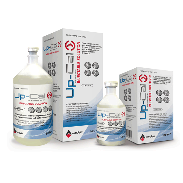 Up_Cal Injectable Solution 500ml