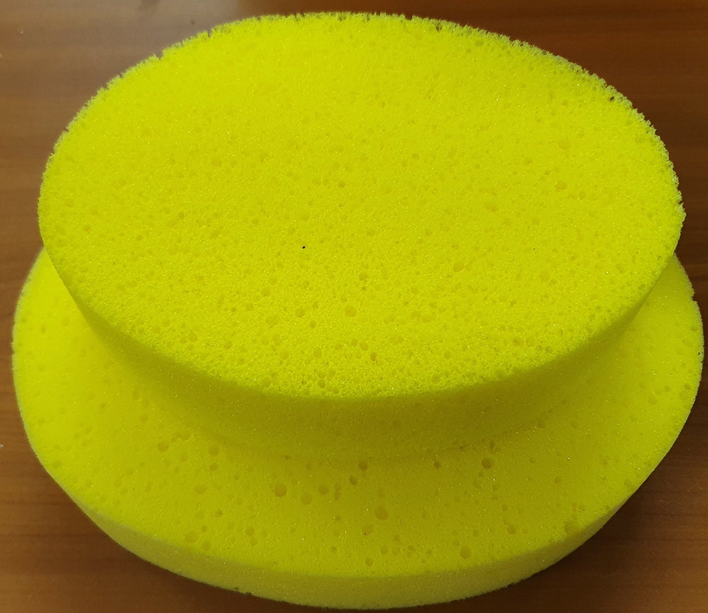 Sponge Sea Oval Large 5cmX20cmX15cm