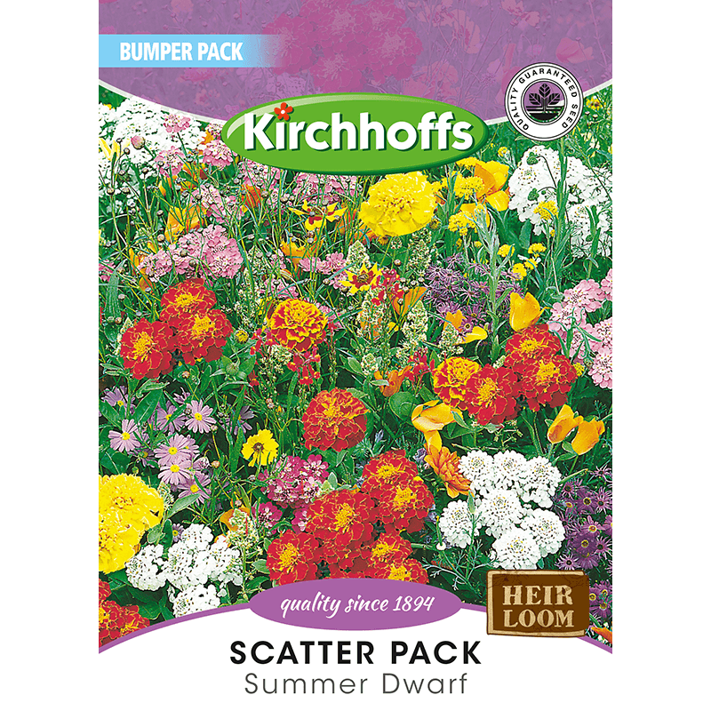 Kirchhoffs Scatterpack Dwarf summer mix
