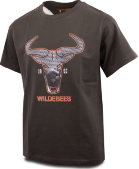 Wildebees Casual Stripe Logo Boys T-Shirt Group