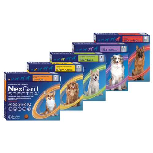 Swavet NexGard Spectra Dog 3 Chews Group