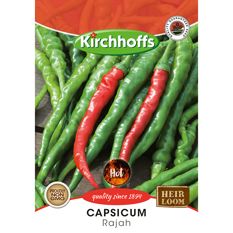Kirchhoffs Capsicum Chillies Rajah