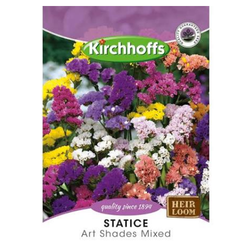 Kirchhoffs Salvia Blaze of fire