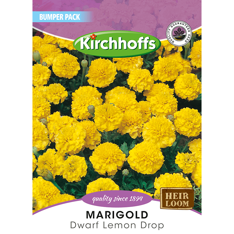 Kirchhoffs Bumperpack Marigold Lemon Drop