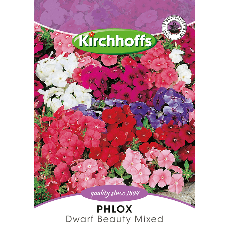 Kirchhoffs Phlox Dwarf beauty mixed