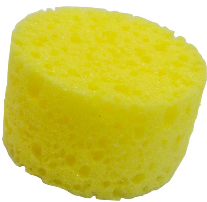 Sponge Sea Oval Medium 5cmX16cmX10cm