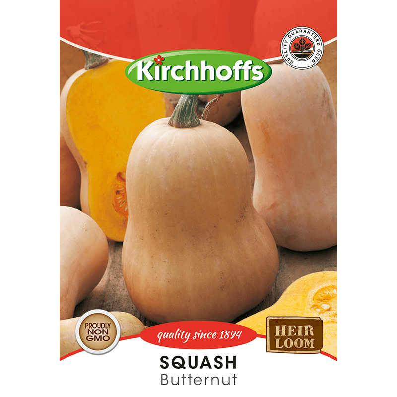 Kirchhoffs Squash butternut