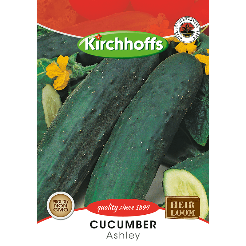 Kirchhoffs cucumber Ashley
