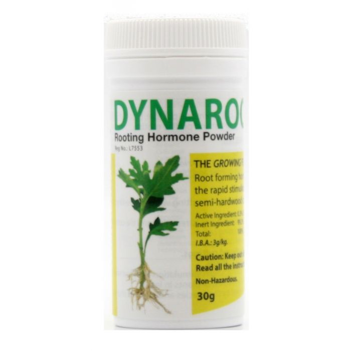 Starke Ayres Nutrifeed 500g