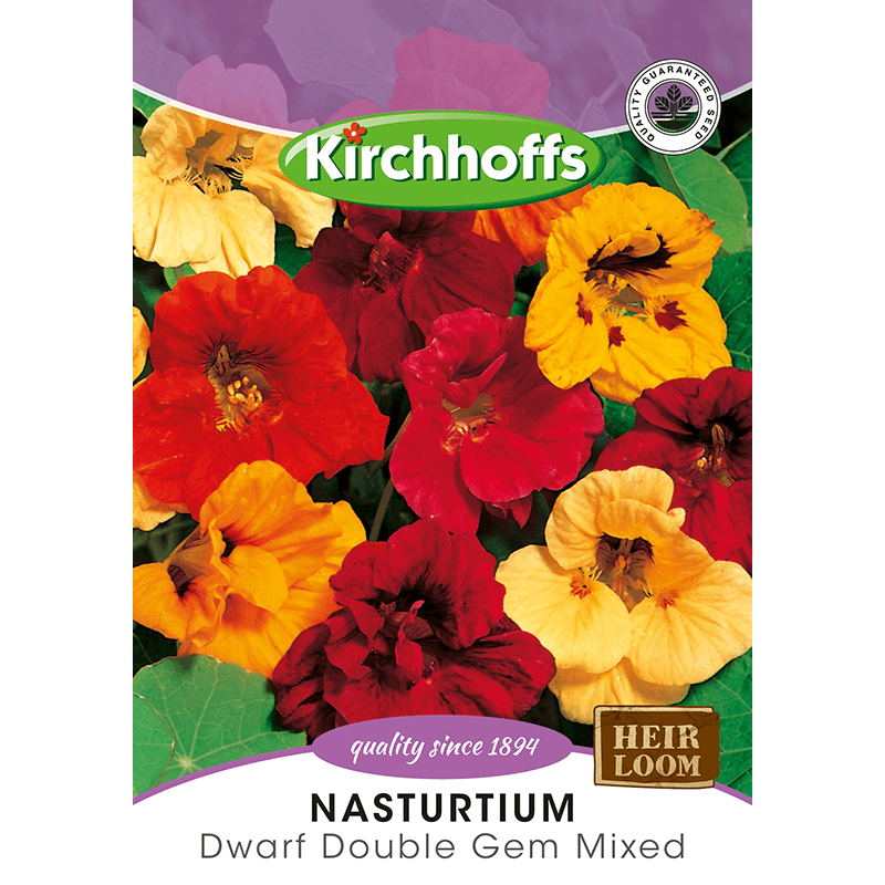 Kirchhoffs Nasturtium Dwarf double gem mixed