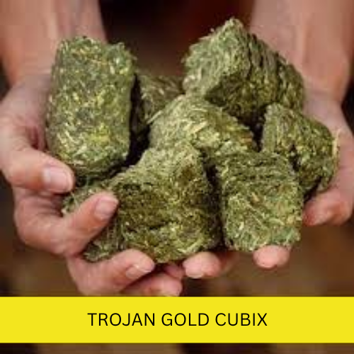 Trojan Gold Cubix 35Kg