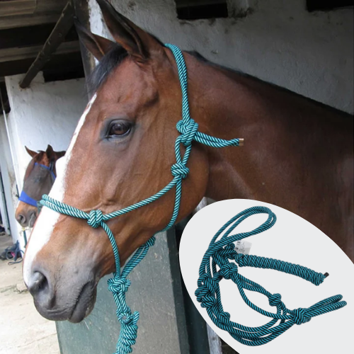 Rope Halter 1-Size Group