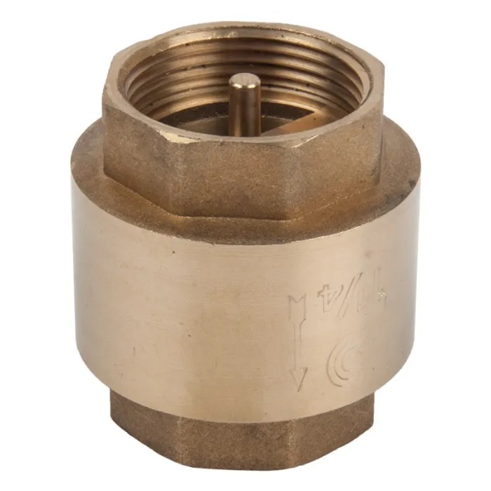 Torrenti Check Valve Brass Spring Group