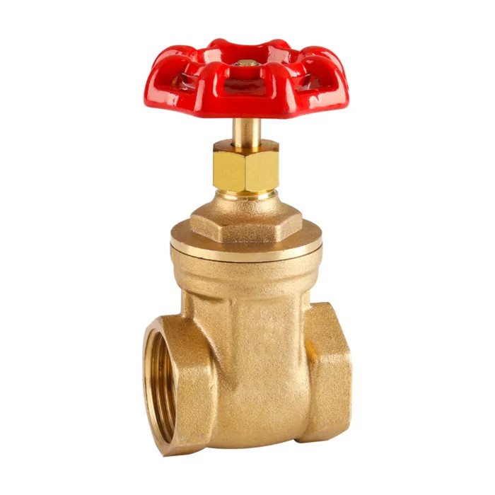 Torrenti Gate Valves Group